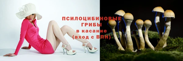 прущий лед Алексин