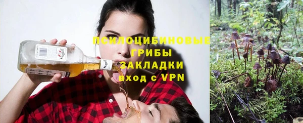 прущий лед Алексин